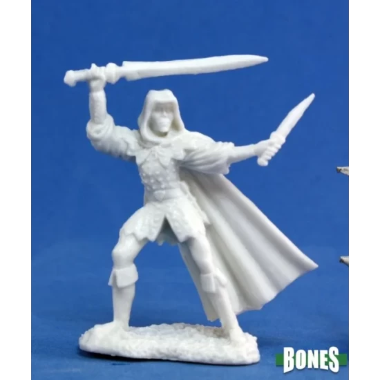 Human Rogue Assassin Danar
