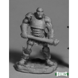 Human Rogue Bandit Knocker Human Rogue Bandit Knocker