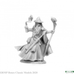 Human Wizard Kelainen Human Wizard Kelainen