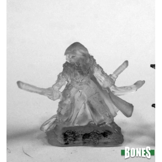 Invisible Rogue