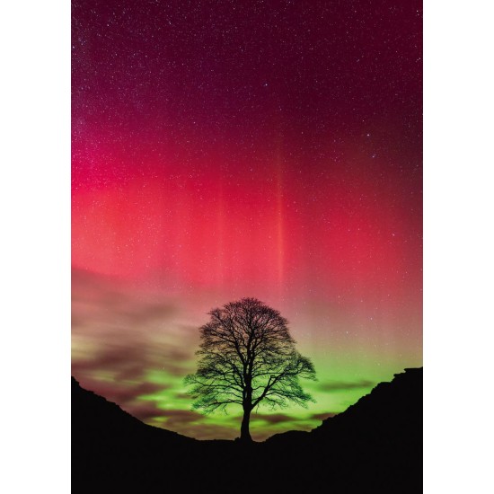 Puzzel Sycamore Gap 1000 Heye 30065 New Puzzel Sycamore Gap 1000 Heye 30065 New