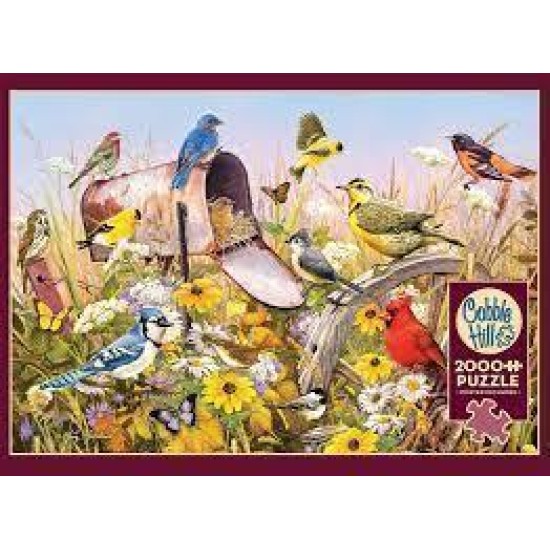 Cobble Hill Puzzle 2000 Pieces - Field Song
