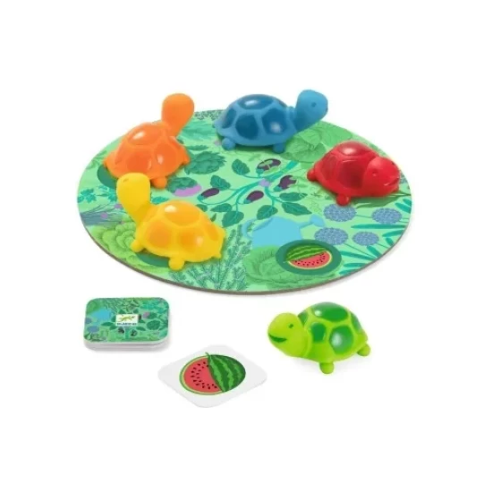 Little Memo Garden Little Memo Garden