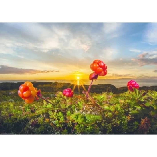 Puzzel Cloudberries 1000 Heye 30016