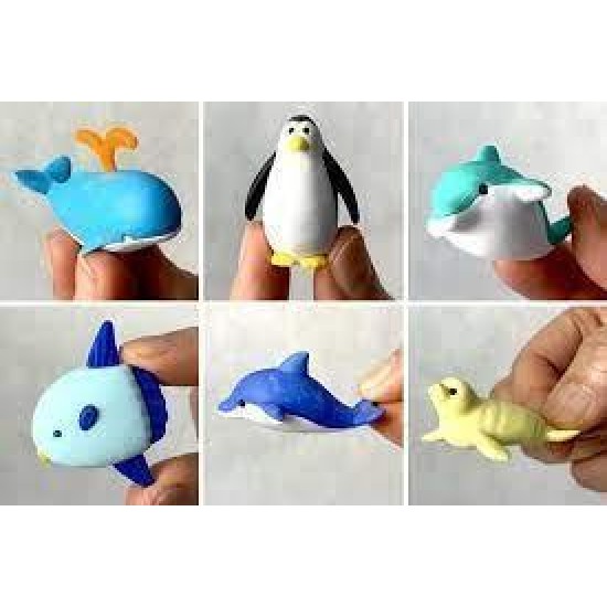 Marine Animal
