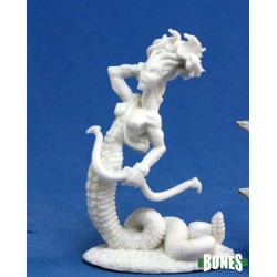 Medusa Medusa