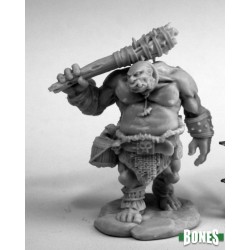 Ogre Guard Ogre Guard