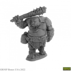 Ogre Guard Ogre Guard