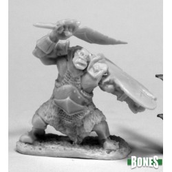 Orc Paladin Slicer