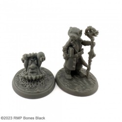 Otterfolk Mage And Familiar Otterfolk Mage And Familiar