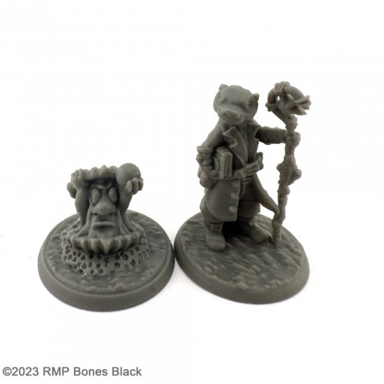 Otterfolk Mage And Familiar