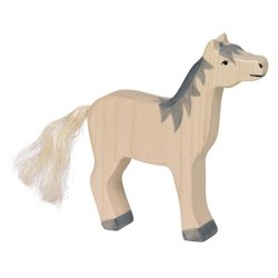 Paard Paard