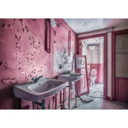 Pink Dreams (1000)