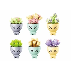 Potted Plants Potted Plants