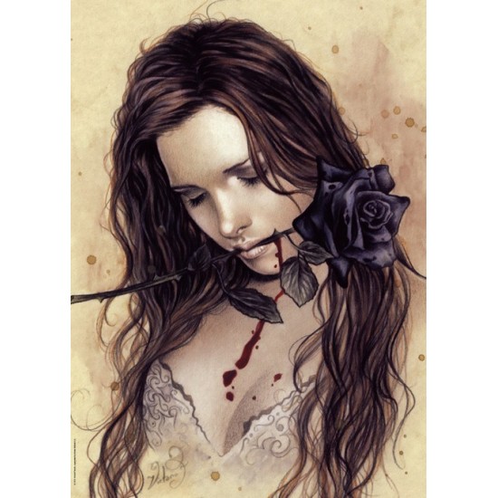 Puzzel Dark Rosefrancés 1000 Heye 29430