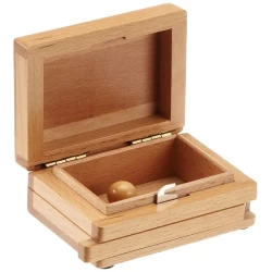 Secret Box Puzzel