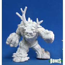 Spirit Of The Forest Spirit Of The Forest