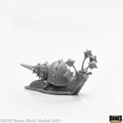 Thrasher Snail Thrasher Snail
