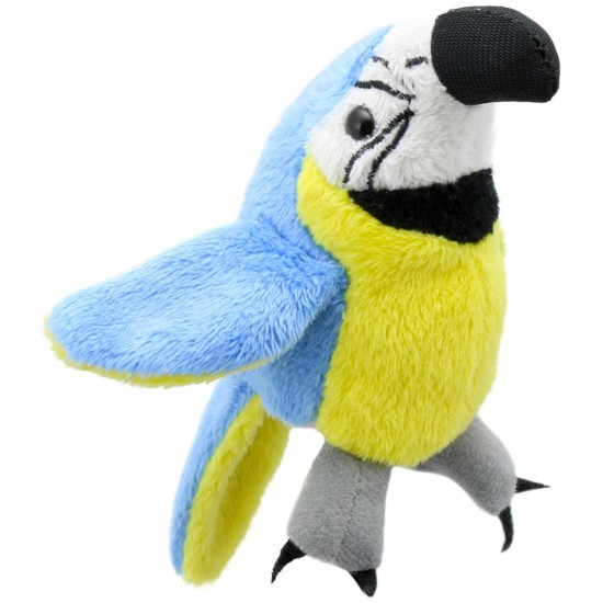 Vingerpop - Ara Vingerpop - Ara