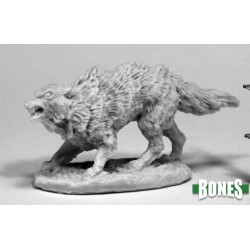 Winter Wolf Winter Wolf