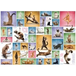 Yoga Cats (1000)